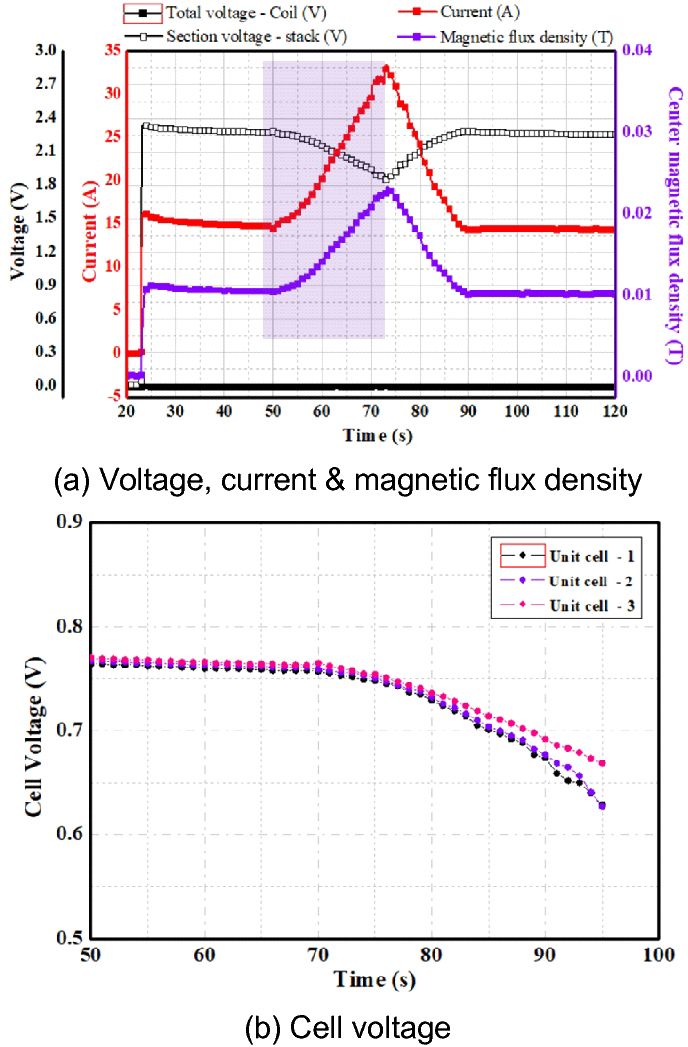 Fig. 9.