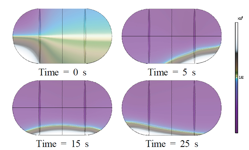 Fig. 9. Fig. 9.
